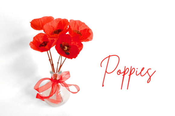 Bringing Nature Indoors: The Art of Crafting Ultra-Realistic Tissue Paper Poppies