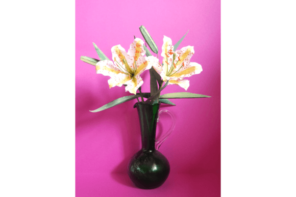 Evaluating the Oriental Tiger Lily Paper Flower Kit by Maison Gregoria